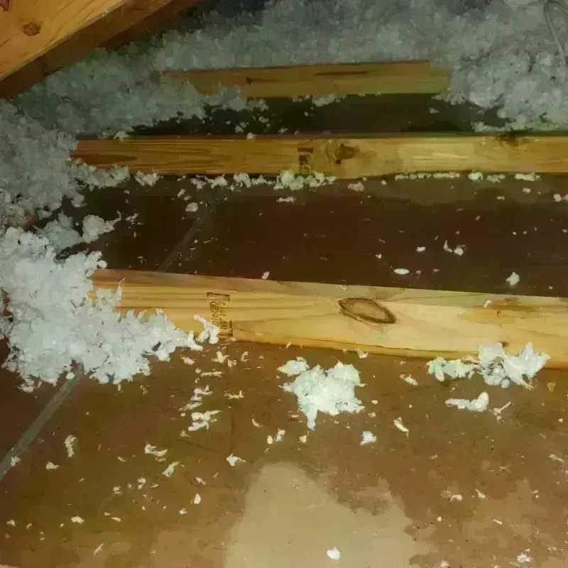 Attic Water Damage in Pascagoula, MS