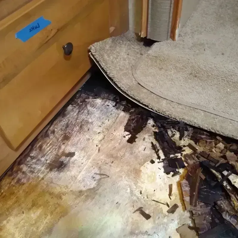 Best Wood Floor Water Damage Service in Pascagoula, MS